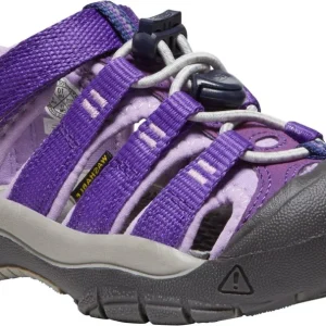 Newport H2 Bambino tillandsia purple/english lavender