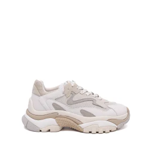 Ash Sneaker Addict01