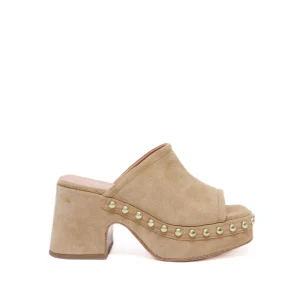 Curiosite Zoccolo Camoscio