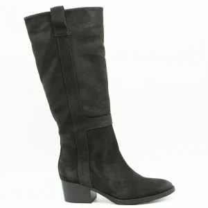 Curiosité Stivale Suede Testa Moro