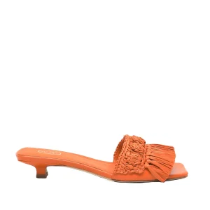 Ash Ciabatta Nomad02