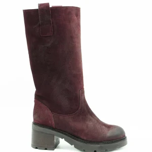 Niche Stivale Bordeaux