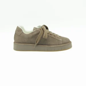 Palomitas Allacciata Chris Taupe