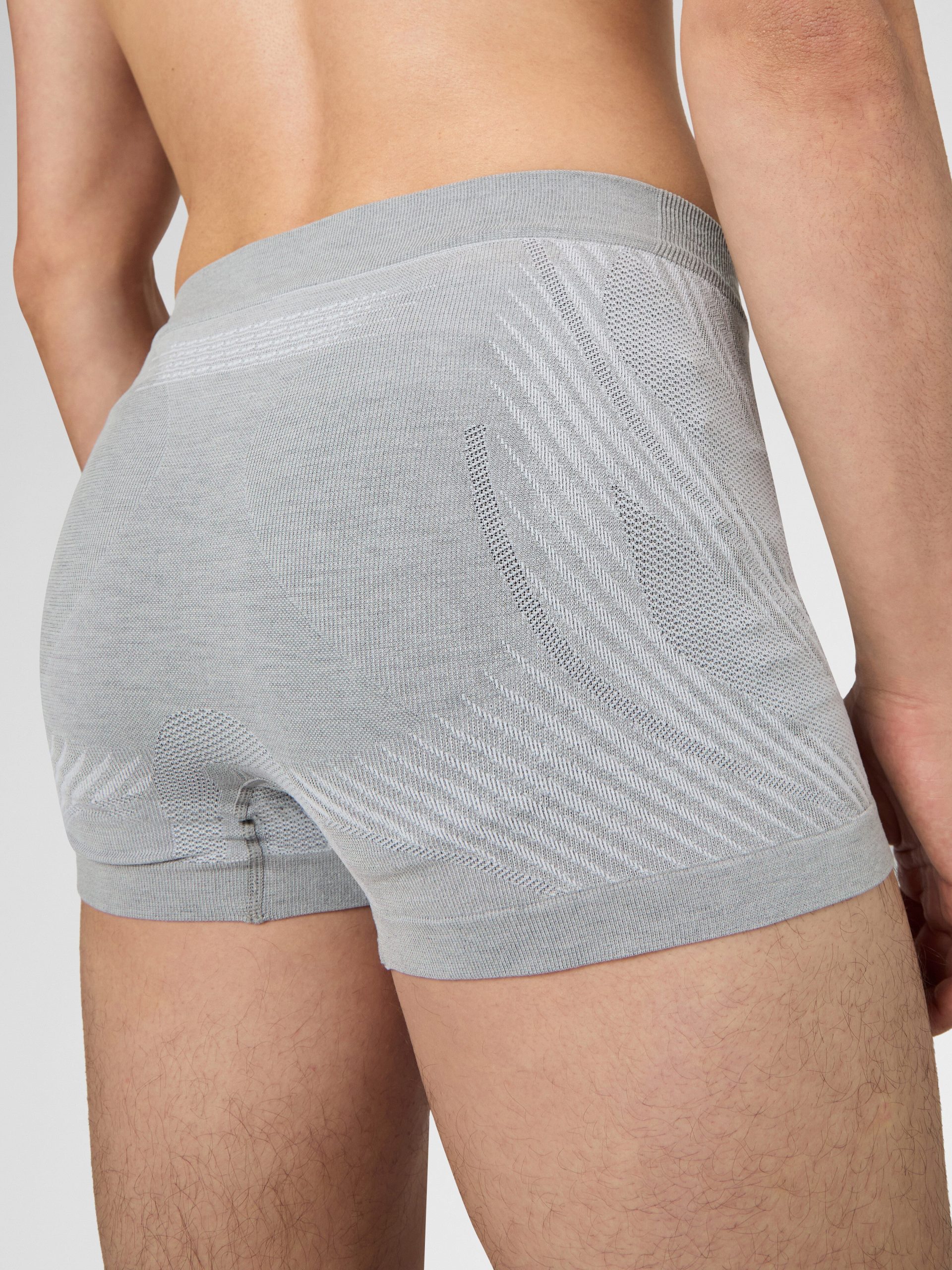 Boxer Motyon Biotech - immagine 7